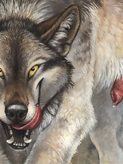 gay furry, gay hentai gallery